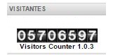 Visitors Counter